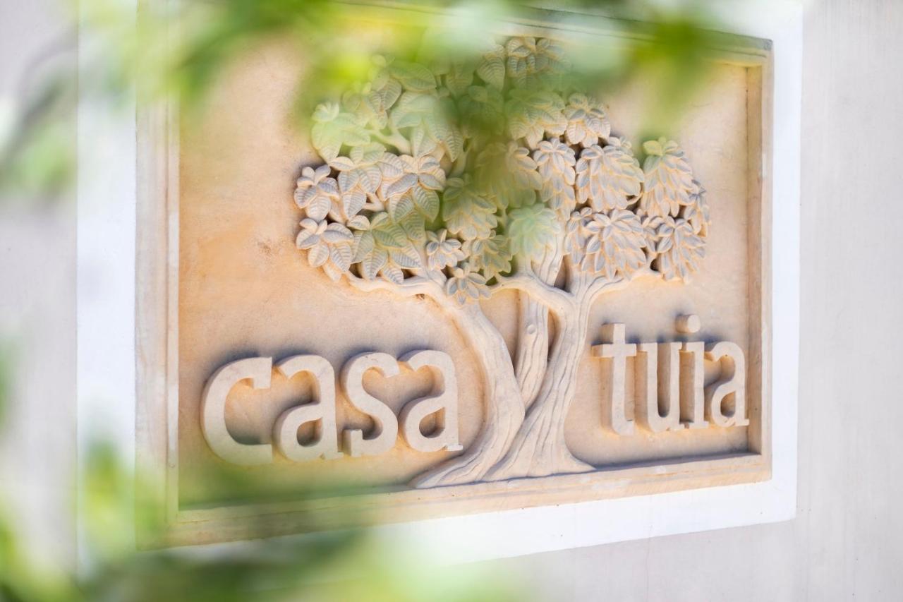Casa Tuia Resort カルヴォエイロ エクステリア 写真